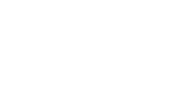 Mayne-advantage